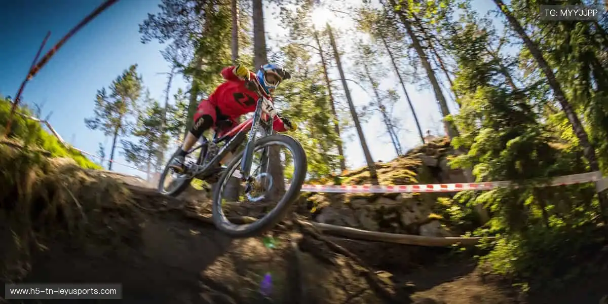 🏆巅峰对决,见证冠军诞生的荣耀瞬间!🏅