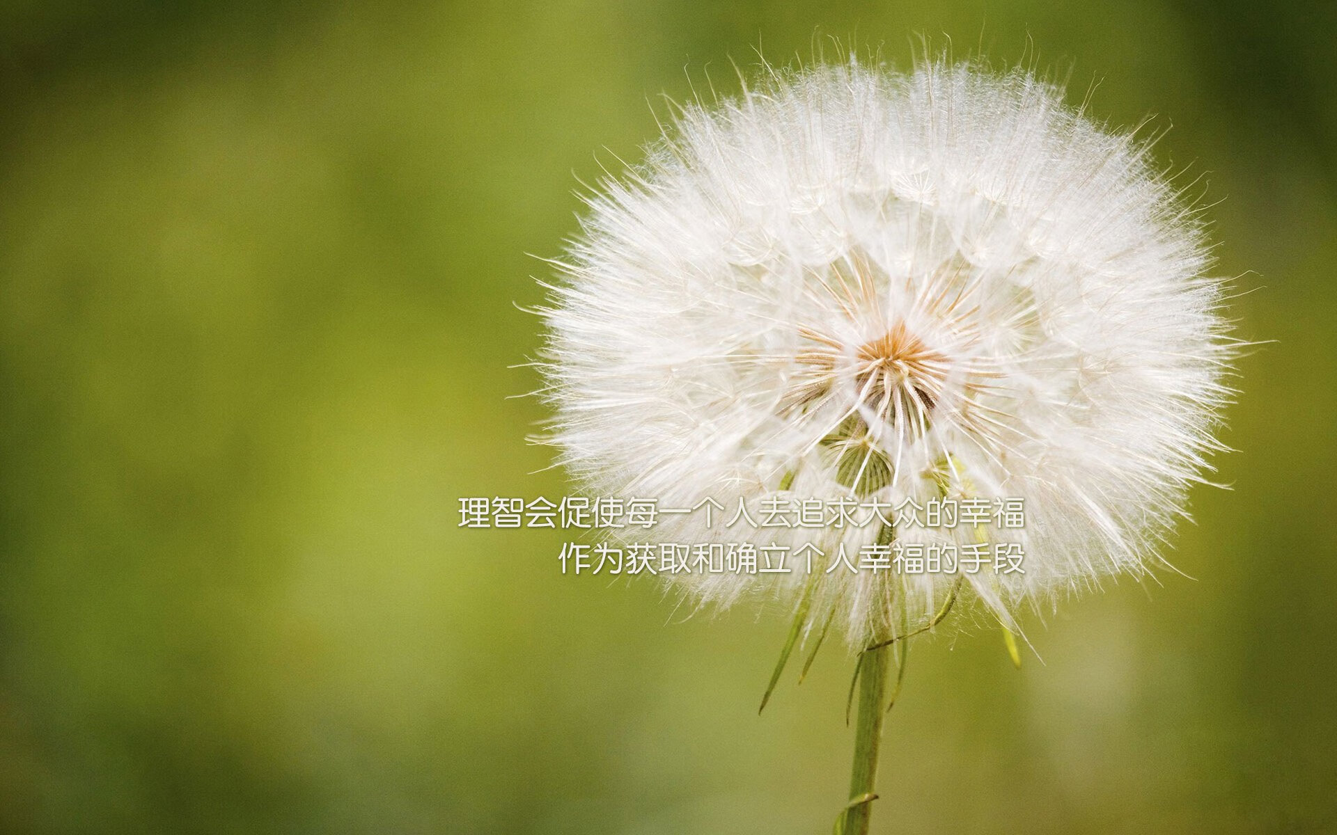 中国篮球职业联赛俱乐部运营管理创新模式及案例分析，篮球俱乐部经营模式