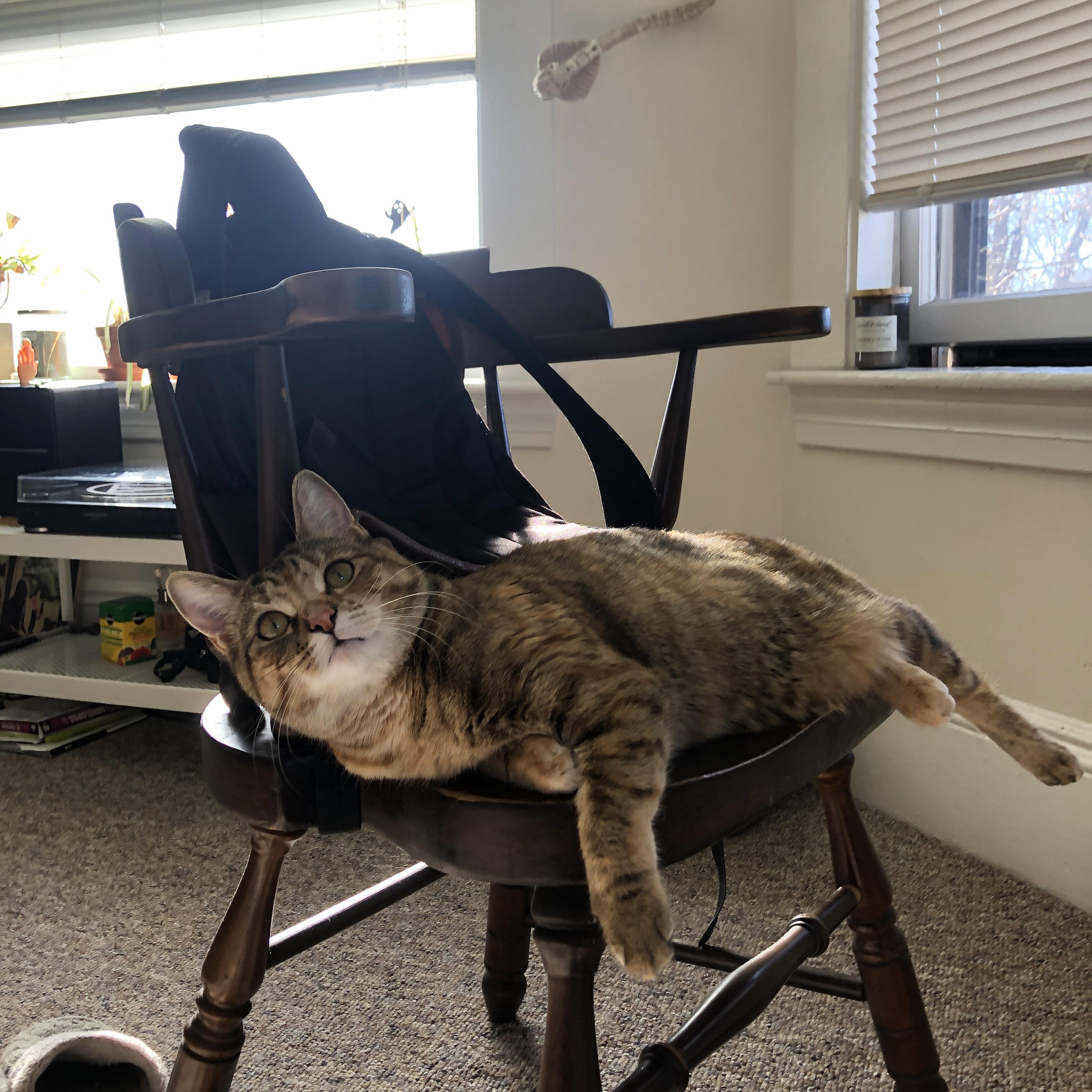 全黑队通过精准配合与迅速反击牢牢掌控比赛节奏，黑队是什么意思