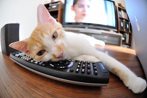 女子篮球增加快速反击训练提高比赛节奏，女子篮球基础训练动作