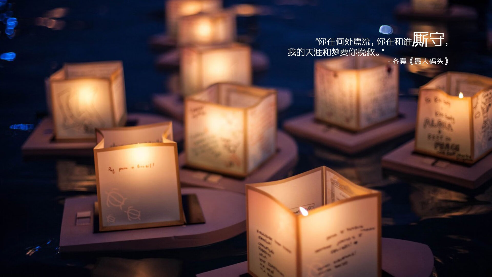 森林狼新援在战术演练中展现超强适应力，森林狼拓展