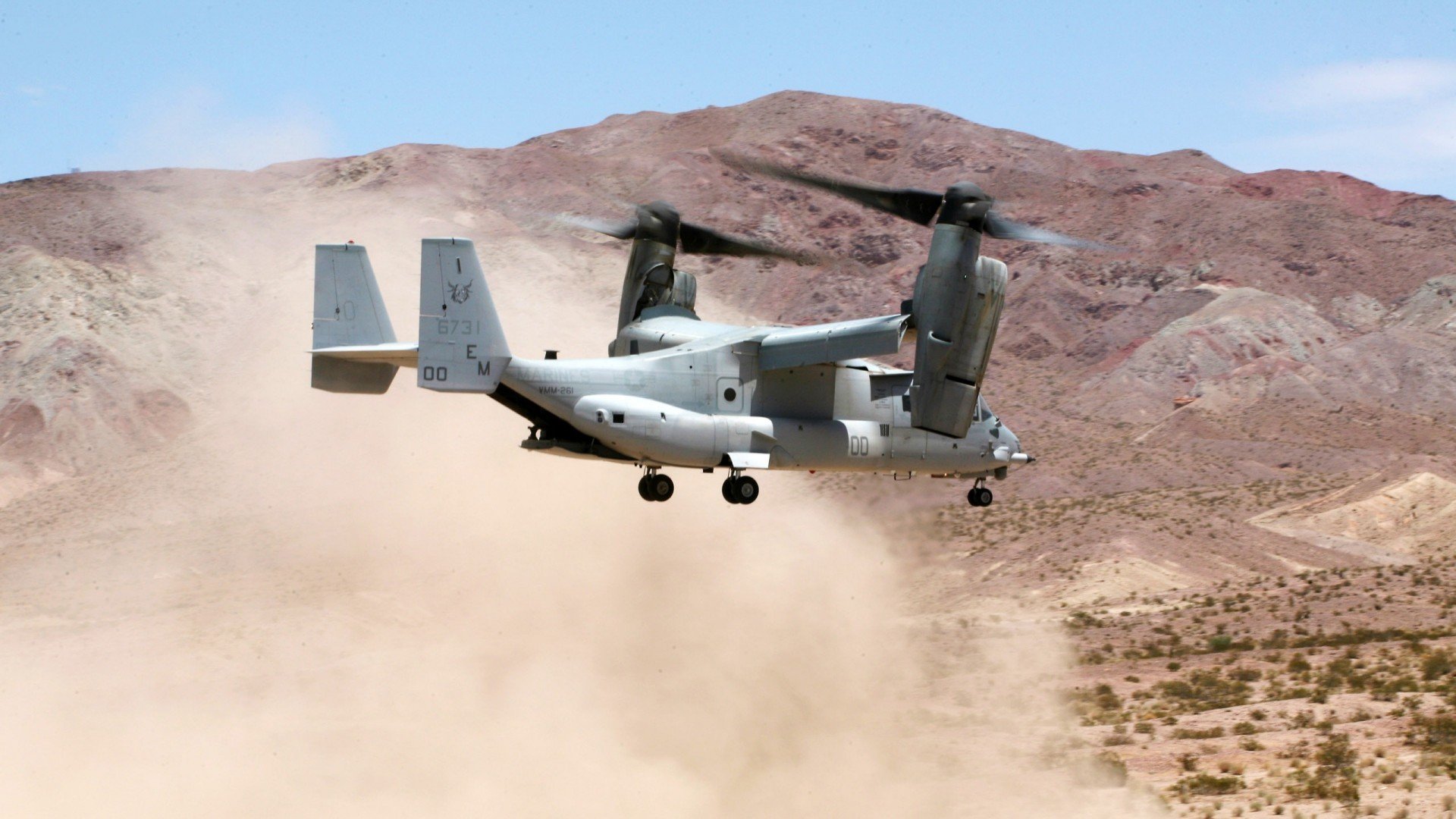 乐鱼体育地址-澳大利亚袋鼠队的传球速度和对抗力度形成独特优势，澳大利亚袋鼠打拳
