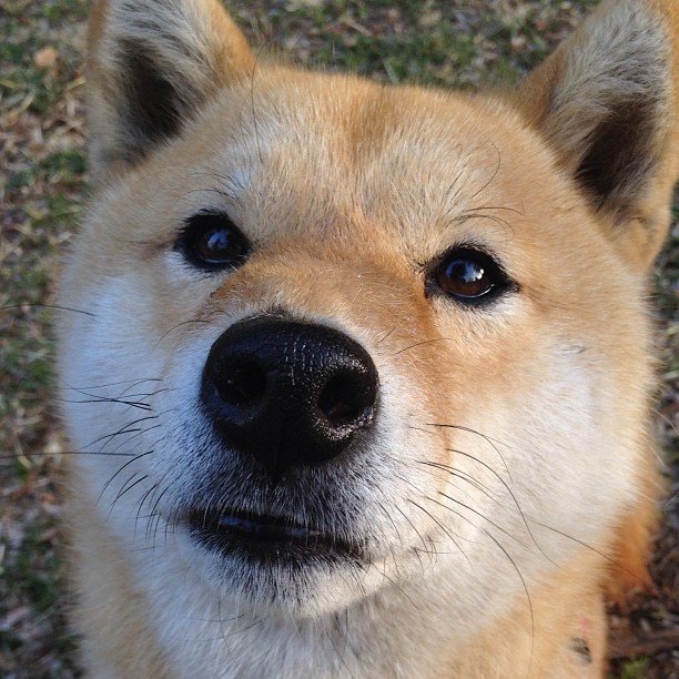 乐鱼体育 vip注册-跳水决赛波兰选手状态佳，波兰最美跳高女运动员排名